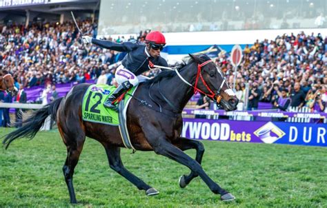 Hollywoodbets Durban July 2023 – Meet the final field.